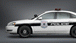 Police car runs on a blend of renewable and unleaded fuel