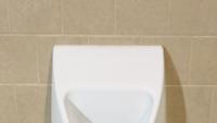 Water-free urinal