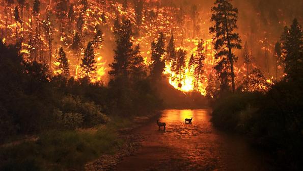 Wildfires burn over 26,000 acres across North Carolina, Virginia