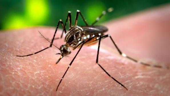 City and state officials spread awareness of Zika virus