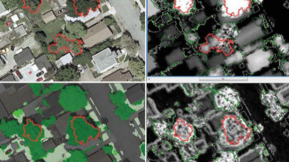 GIS mapping system increases San Jose fruit trees’ yield