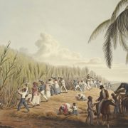 slaves work in sugarcane field