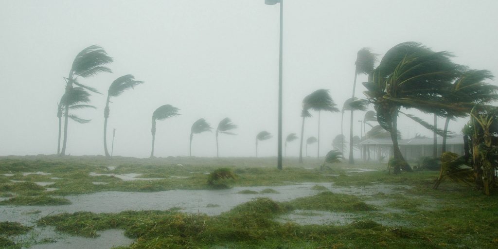 How to ensure organization and safety during the peak of hurricane season