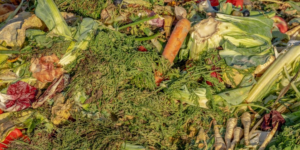 New York mayor announces city-wide curbside composting program, impacting 8.5 million residents by 2024